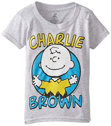 Peanuts Charlie Brown Little Boy's Heather Grey T-shirt