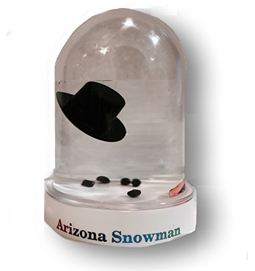 Arizona Snow Globe Original Melted Snowman Snowglobe