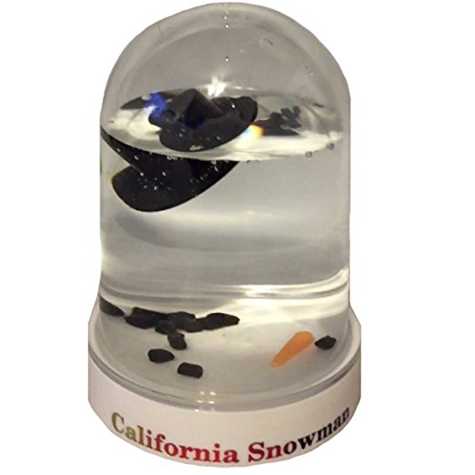 California Snow Globe Original Melted Snowman Snowglobe